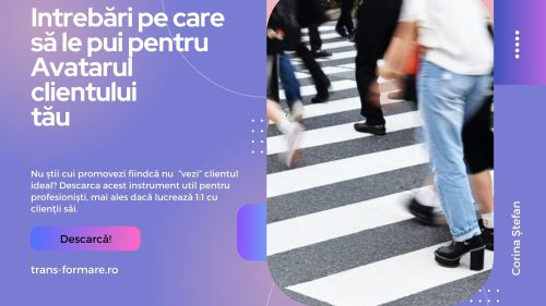 avatarul clientului ideal - intrebari pentru realizarea propriului profil de client . Banner produs