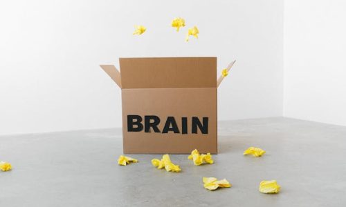 sursa foto pexels.com cutie pe care scrie brain, referitor la modul in care ne afecteaza ai invatarea.