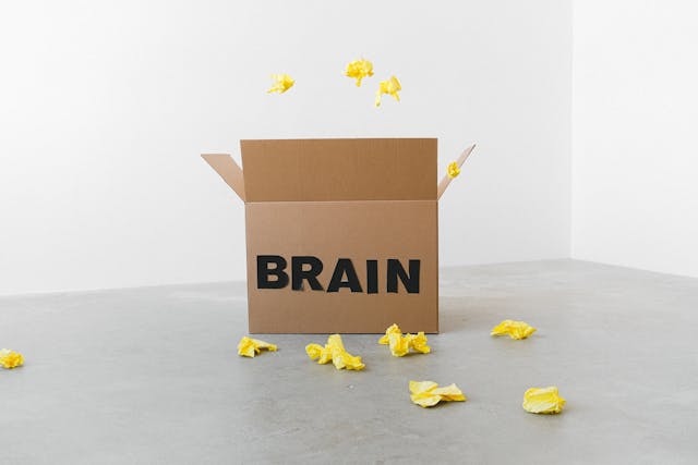 sursa foto pexels.com cutie pe care scrie brain, referitor la modul in care ne afecteaza ai invatarea.
