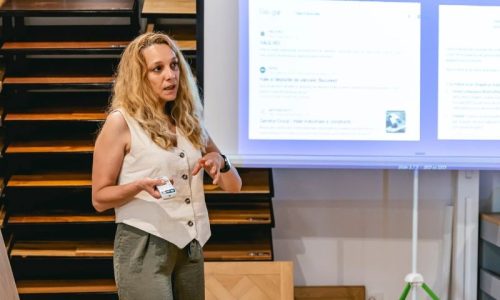 stefan corina trainer - imagie reprezentativa teoriile invatarii